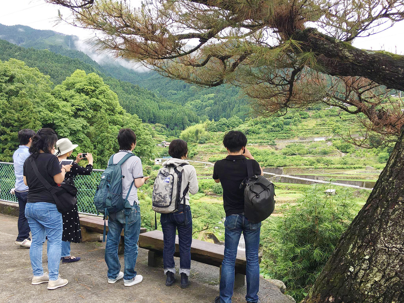 Participants looked down the beautiful rice terraces.